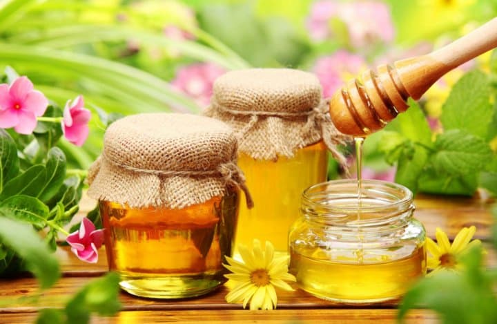 فروش ویژه عسل آفتابگردان 3