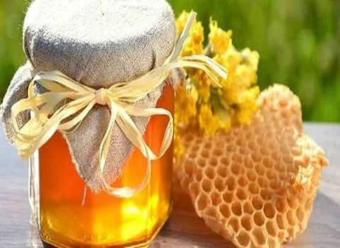 سفارش آنلاین عسل کوهی + قیمت رقابتی
