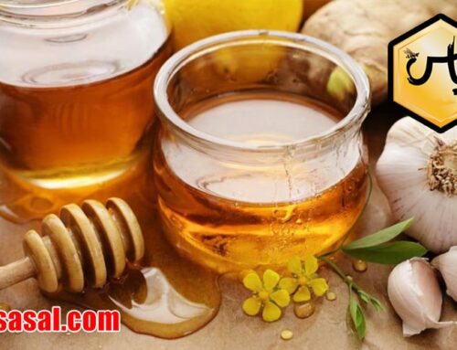 سفارش آنلاین عسل کوهی + قیمت رقابتی 3