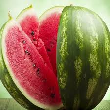 تأمین و فروش عمده کنسانتره هندوانه