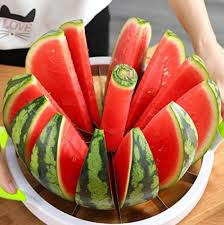 تأمین و فروش عمده کنسانتره هندوانه 5