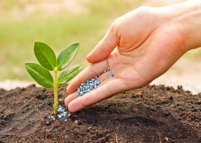 کربنات کلسیم کشاورزی با فرم پودری و دانه ای