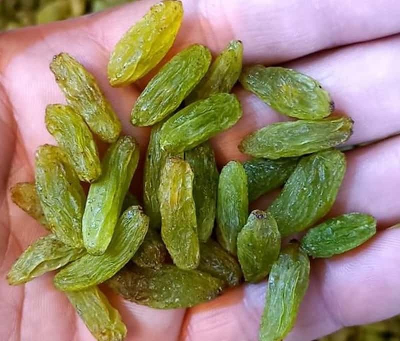 کشمش سبز پیکامی مرغوب با طعم شیرین طبیعی