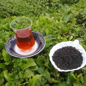 ویژگی های برگ چای قلم و سرگل لاهیجان