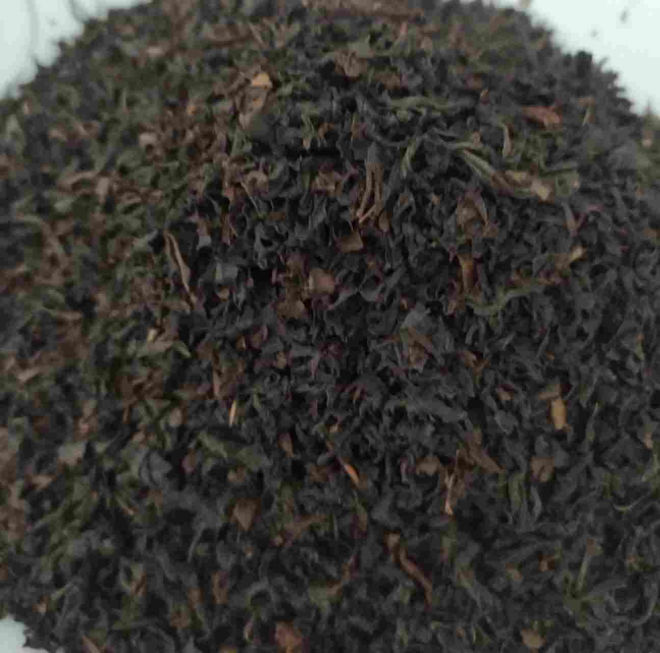 لذت عصرگاهی با عطر خوش چای لاهیجان