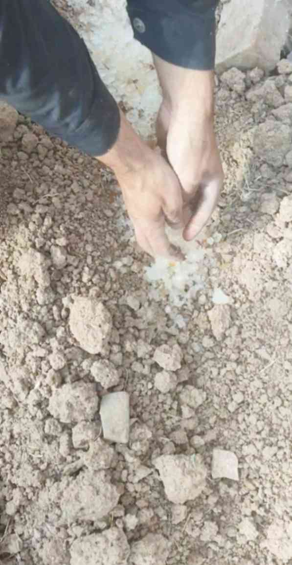 فروش هیدروژل کشاورزی؛ مدیریت رطوبت و آب در خاک 3