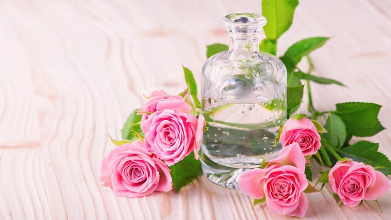 گلاب کاشان اصل خالص با رایحه ماندگار