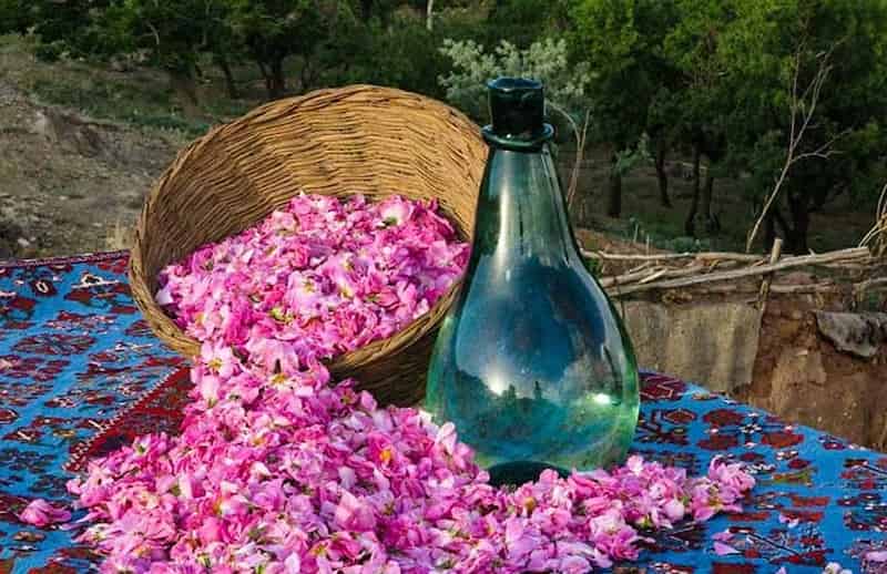 گلاب اصل دو آتیشه کاشان با کیفیت ممتاز