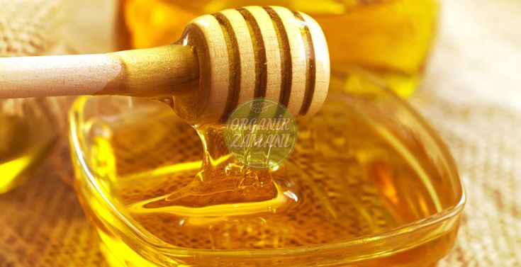 پخش عمده عسل شهد + قیمت مناسب