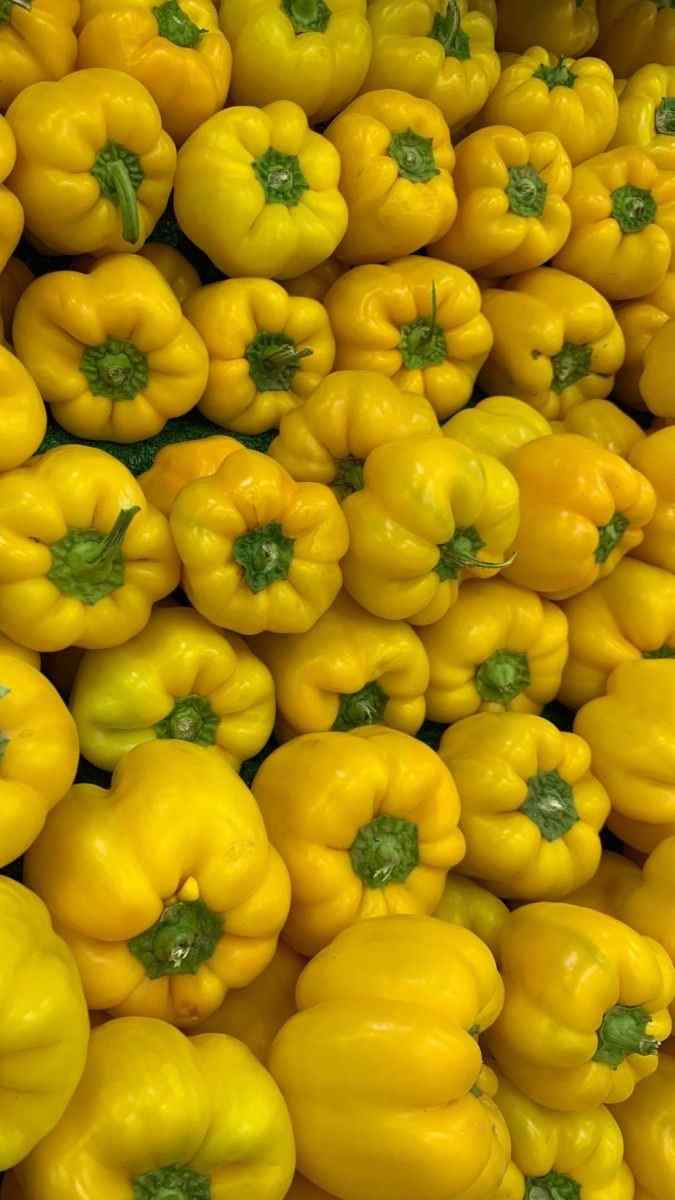 خرید و قیمت فلفل دلمه ای زرد و قرمز درجه ۲ با کیفیت و ماندگاری بالا 5