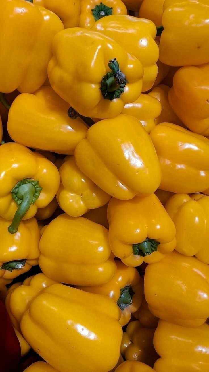 خرید فلفل دلمه‌ای زرد درشت و بدون لک مناسب سالاد و مصرف روزانه