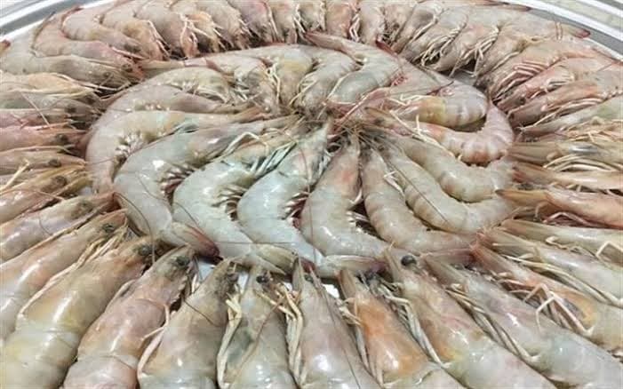 میگو پرورشی بوشهر با اندازه های مختلف برای مصارف متنوع