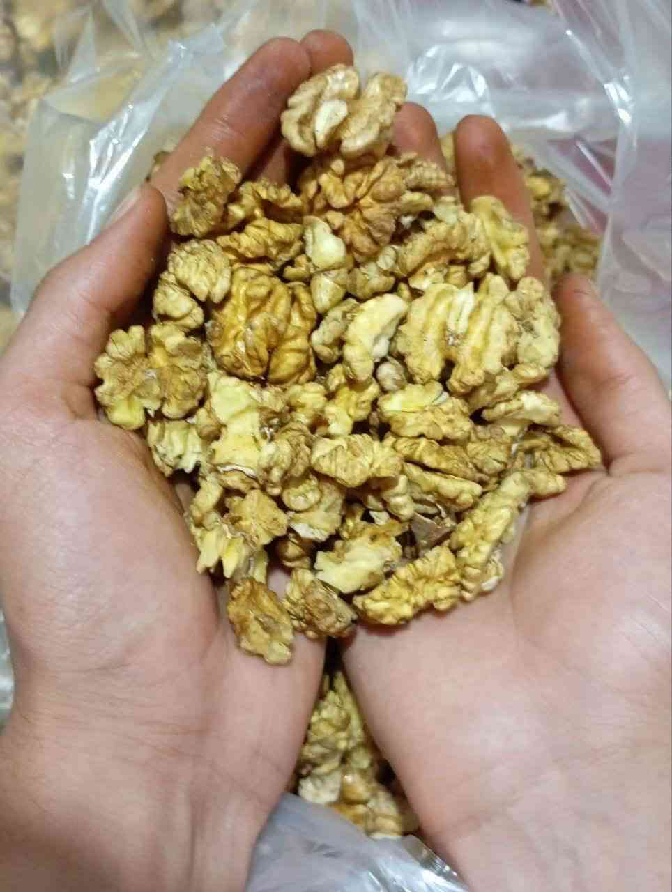 قیمت خرید مغز گردو عمده به صرفه و ارزان 6