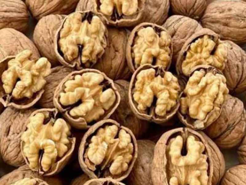 قیمت خرید مغز گردو عمده به صرفه و ارزان