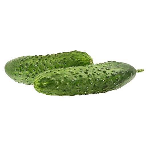 خیار زرد خاردار با ظاهر طبیعی و کیفیت مطلوب