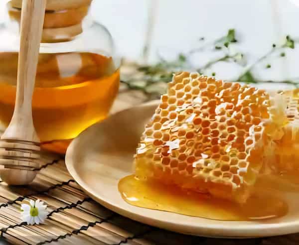 خرید عمده اینترنتی عسل خار مریم + قیمت مناسب 2