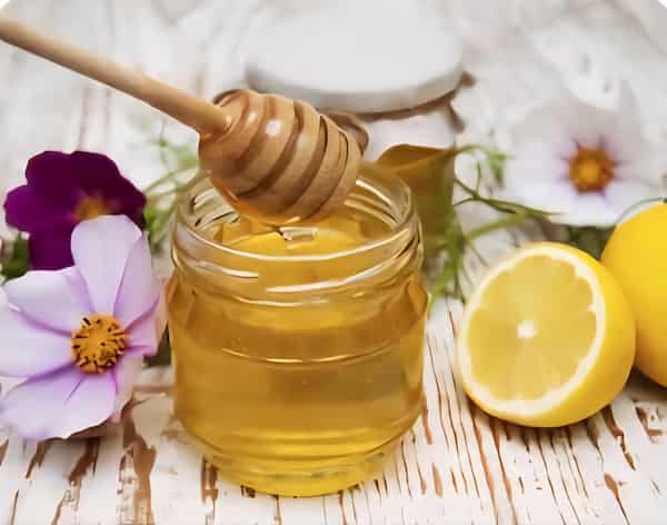 لیست قیمت عسل بوقناق + خرید مستقیم 2