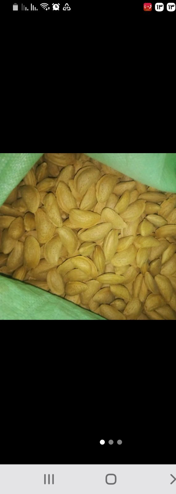بادام مامایی مرغوب خرید به صرفه 6
