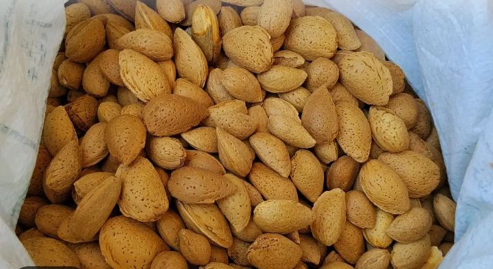 بادام مامایی مرغوب خرید به صرفه 3
