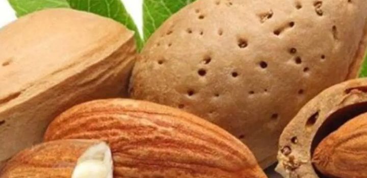 بادام سنگی مرغوب خرید به صرفه 3