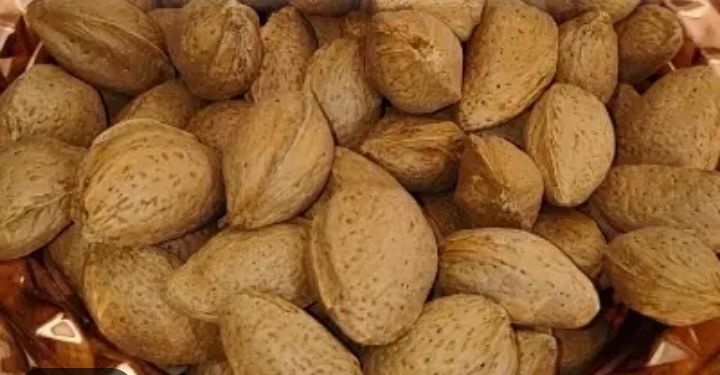 بادام ربعی مرغوب خرید به صرفه 2