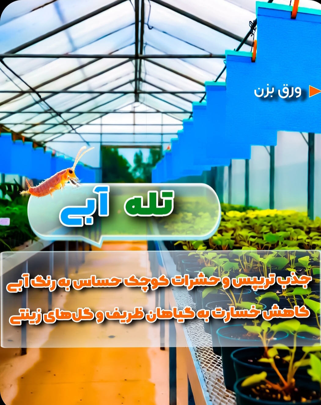 خرید مستقیم صابون محلول پاشی + تولیدکننده 2