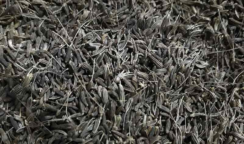 زیره سیاه خراسان ویژه مصارف غذایی