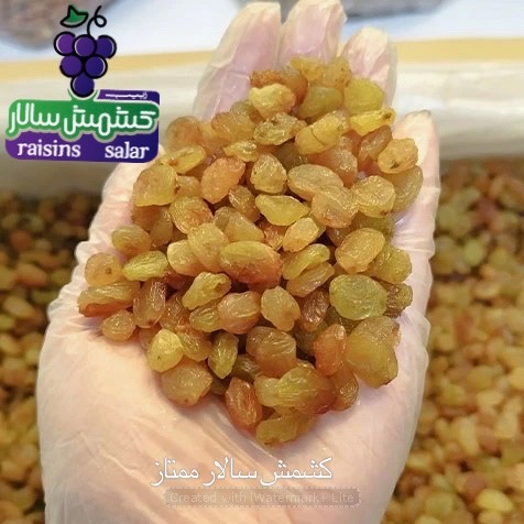 تأمین کشمش پلویی صادراتی