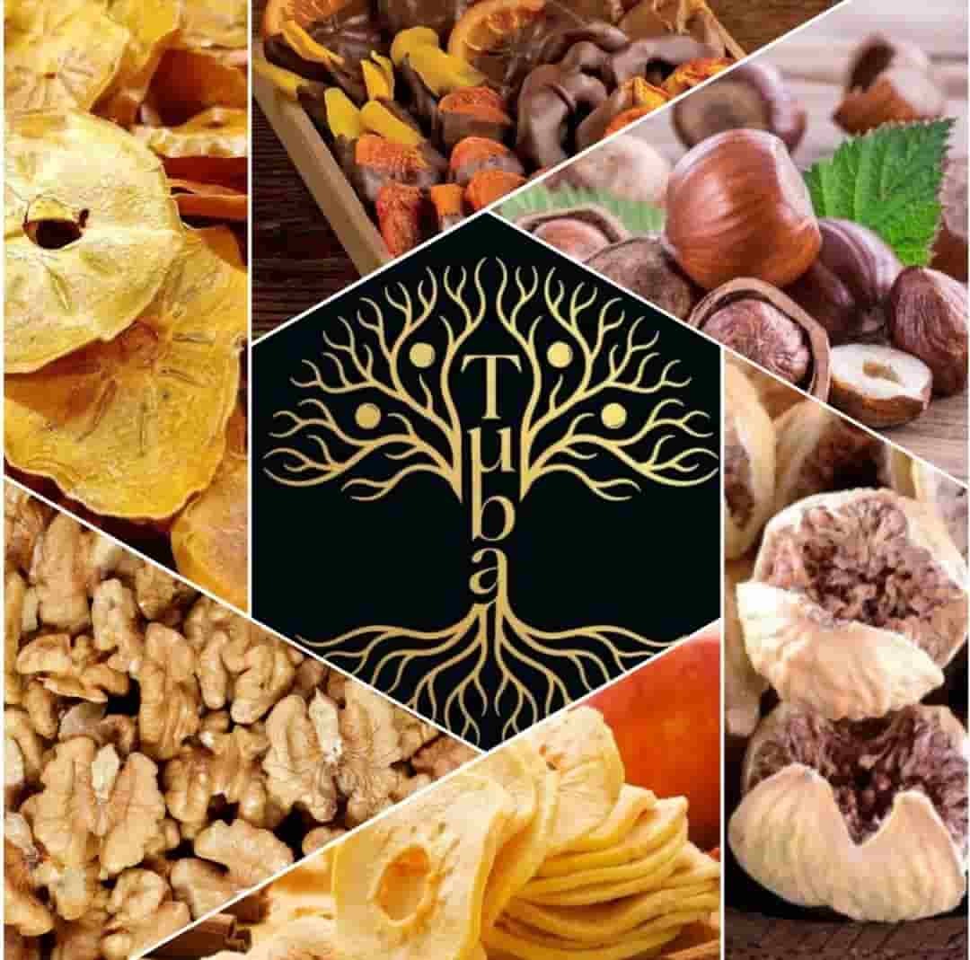 تأمین کننده میوه خشک تهران