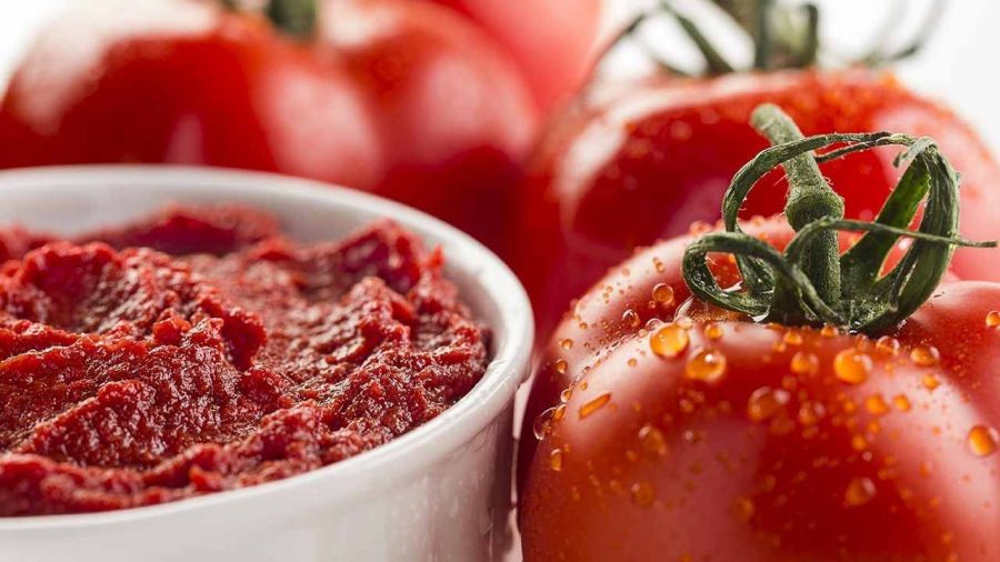خرید رب گوجه فرنگی شیشه ۱۶۰۰ گرمی + فروش عمده