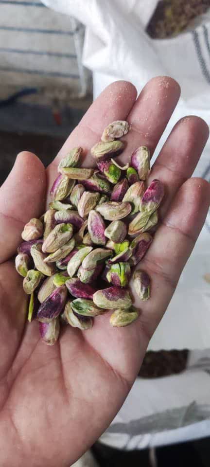 خرید و فروش مغز پسته احمدآقایی گلدار باشرایط ویژه 5