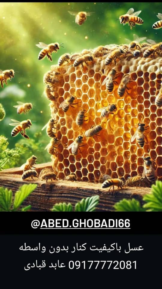 عسل کنار ، بهاره و گون