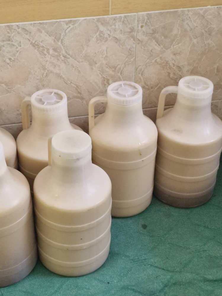 عسل کنار ، بهاره و گون 6