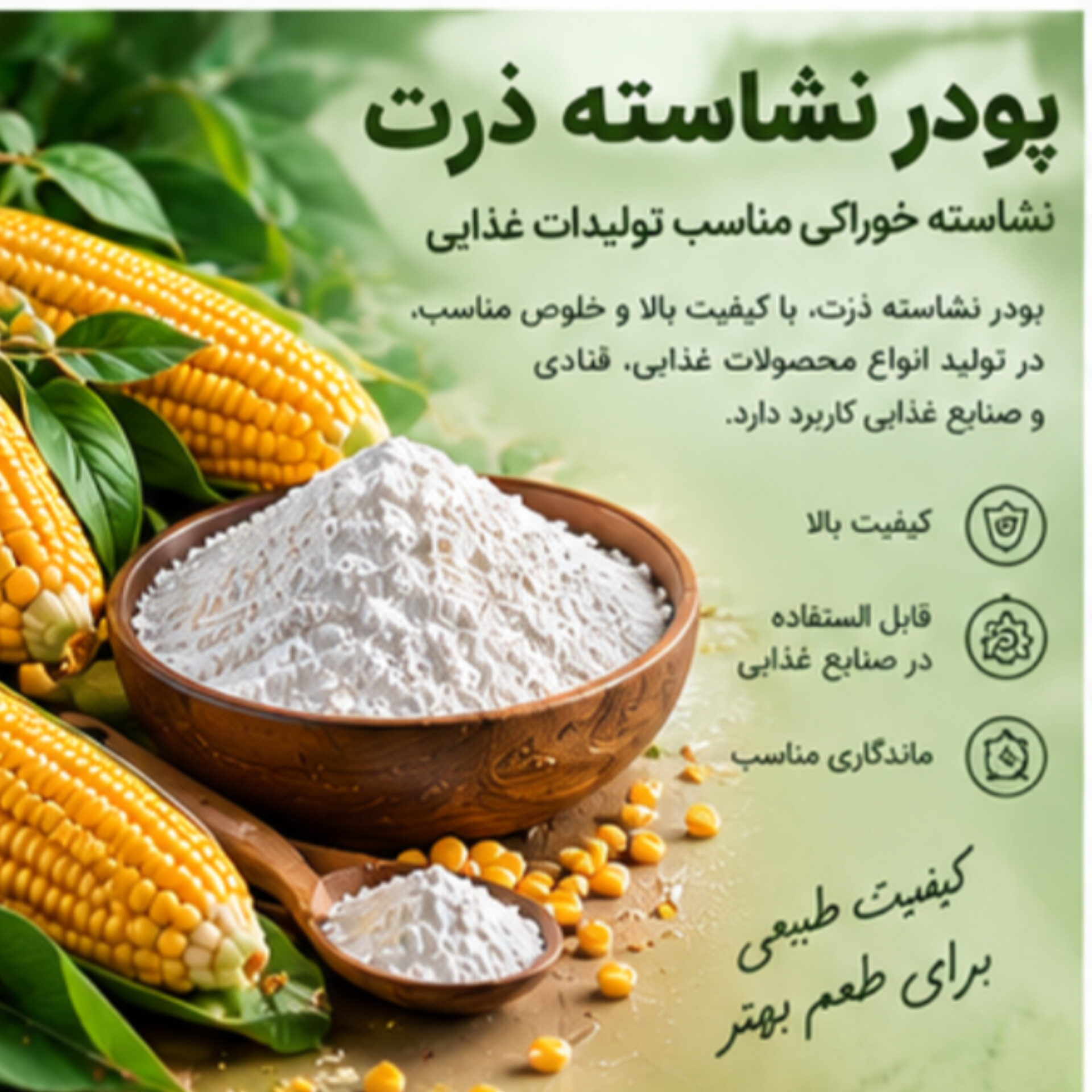 نشاسته ذرت خوراکی | کاربردی در تولید و فرآوری مواد غذایی