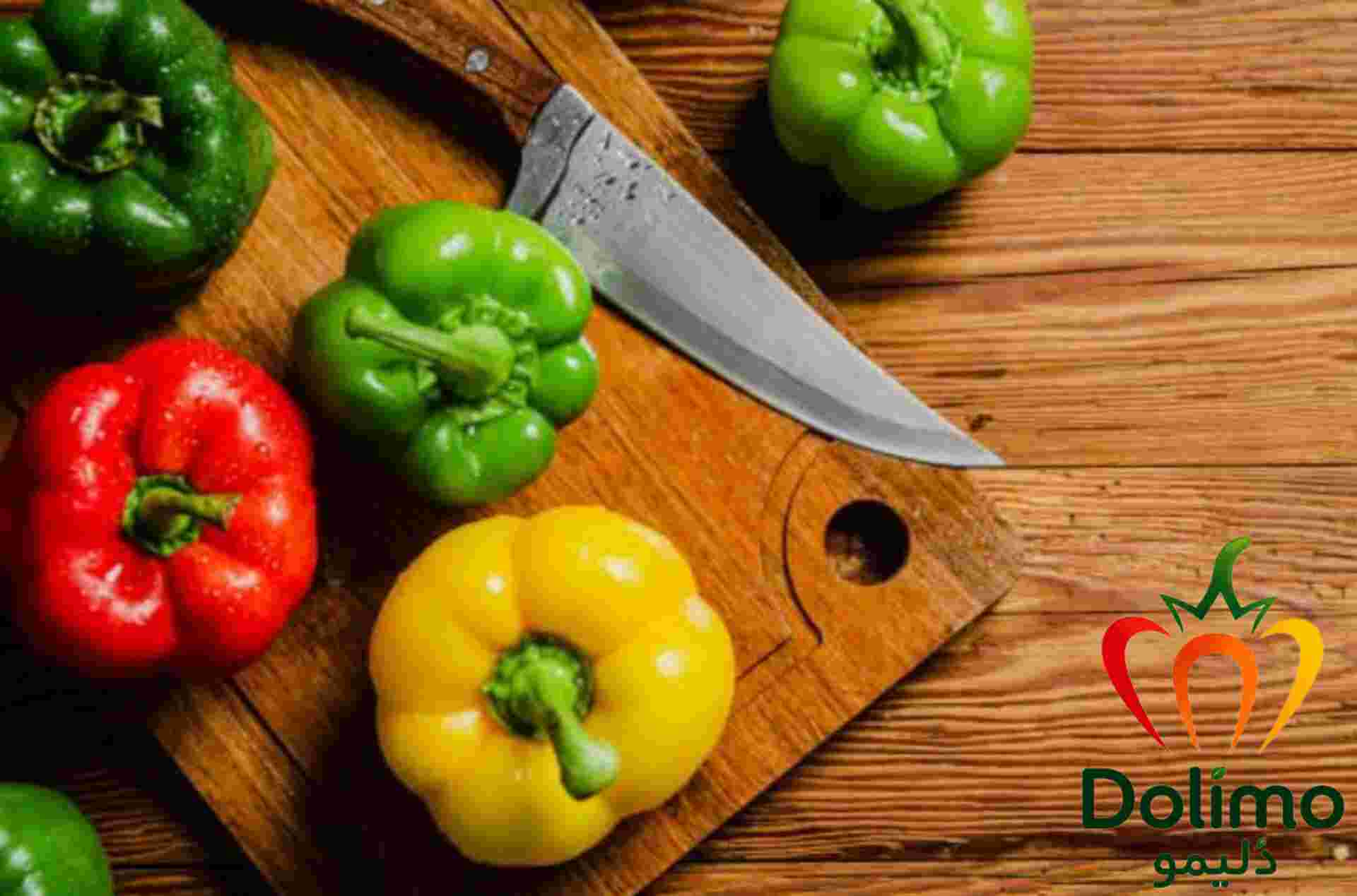 قیمت و خرید فلفل دلمه‌ای رنگی و سبز با کیفیت برای صنایع غذایی و کترینگ