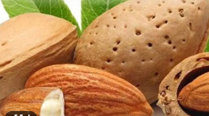 بادام سنگی مرغوب خرید به صرفه
