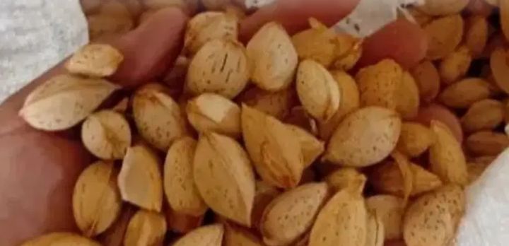 بادام سنگی  مرغوب خرید به صرفه 3