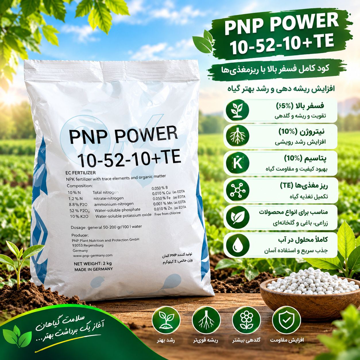 کود فسفر بالای 105210 مشھد به قیمت رقابتی