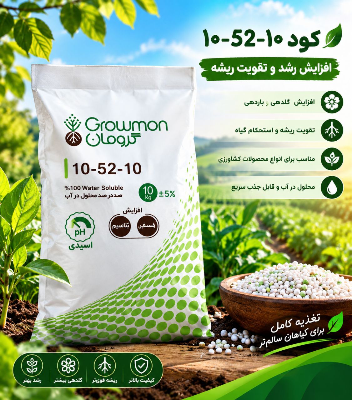 کود فسفر بالای 105210 اصفھان به قیمت رقابتی