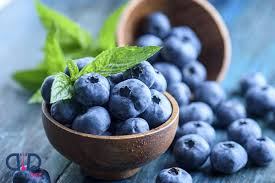 تأمین و فروش عمده کنسانتره بلوبری