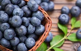 تأمین و فروش عمده کنسانتره بلوبری 4