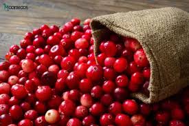 تأمین و فروش عمده کنسانتره کرنبری (Cranberry) توت قرمز ترش مزه ، زغال اخته 4