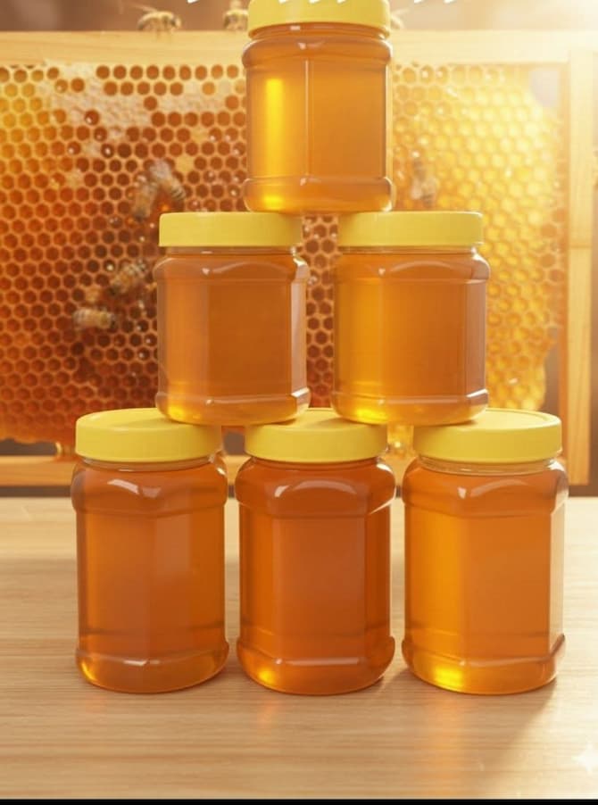 قیمت خرید مستقیم عسل چهل گیاه از تولید کننده 6
