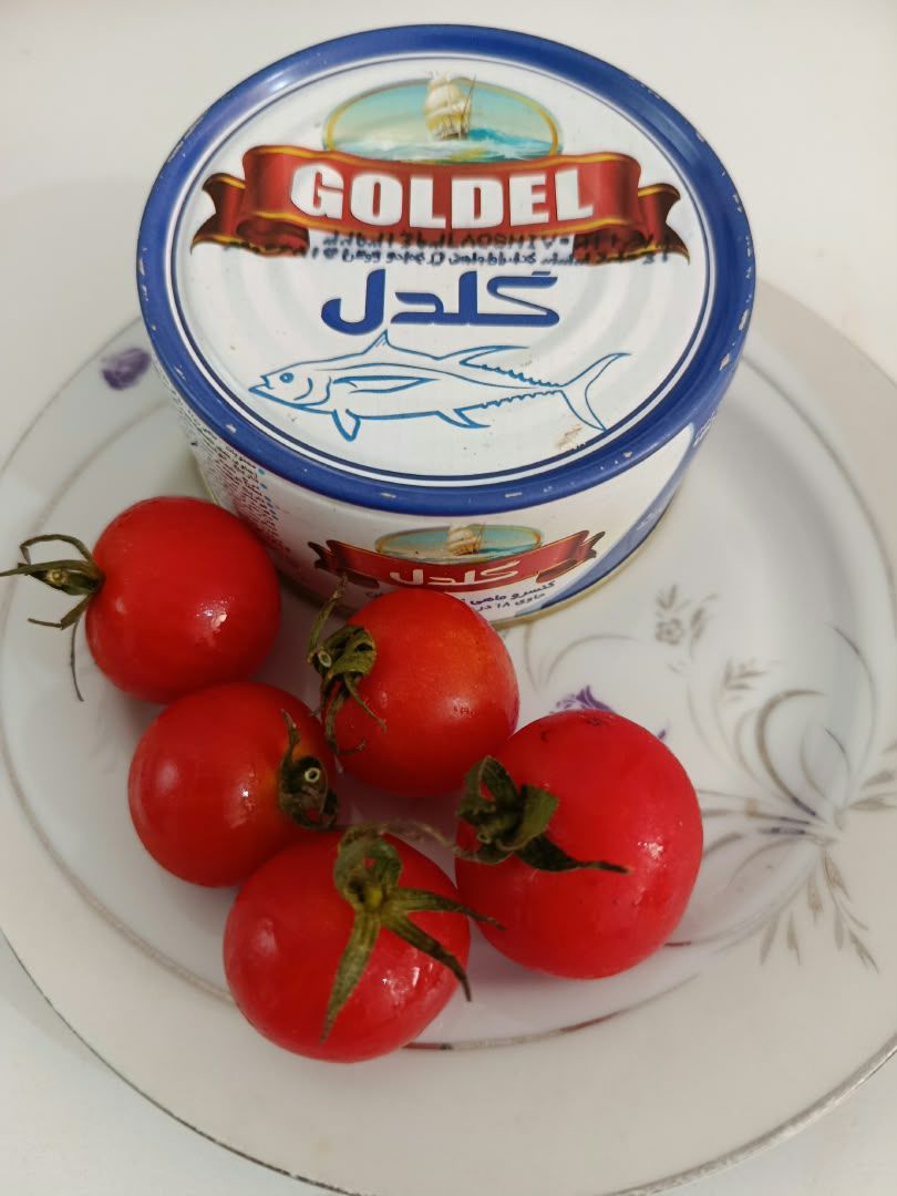 فروش عمده کنسرو ماهی گلدل