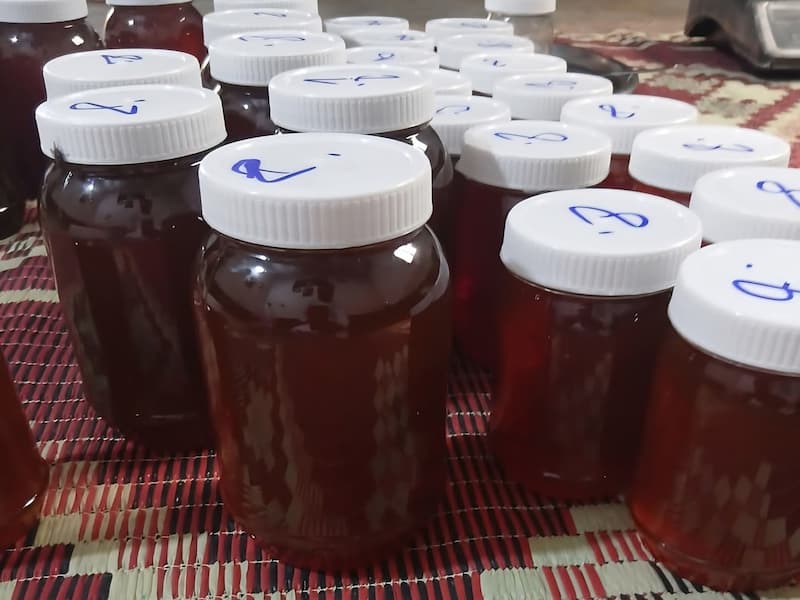 خرید اینترنتی عسل زرشک هانیوا + قیمت آپدیت شده 2