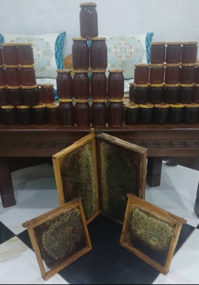 قیمت عسل سیاه دانه + پخش توليدي عمده زنبورستان
