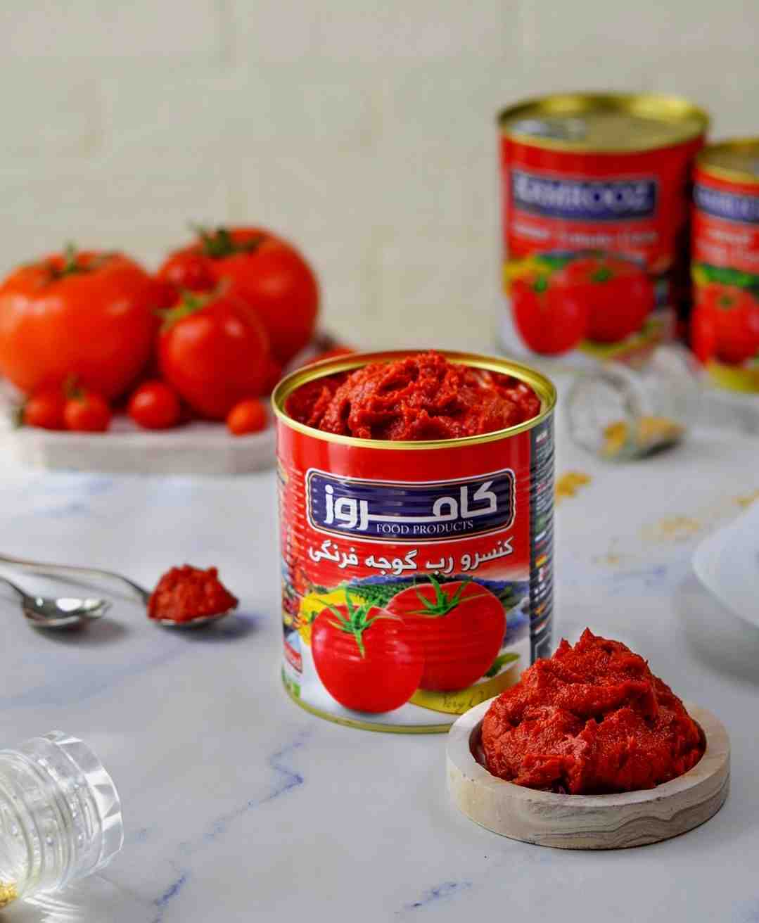 قیمت کنسرو رب گوجه فرنگی کارخانه + خرید مستقیم بدون واسطه 2