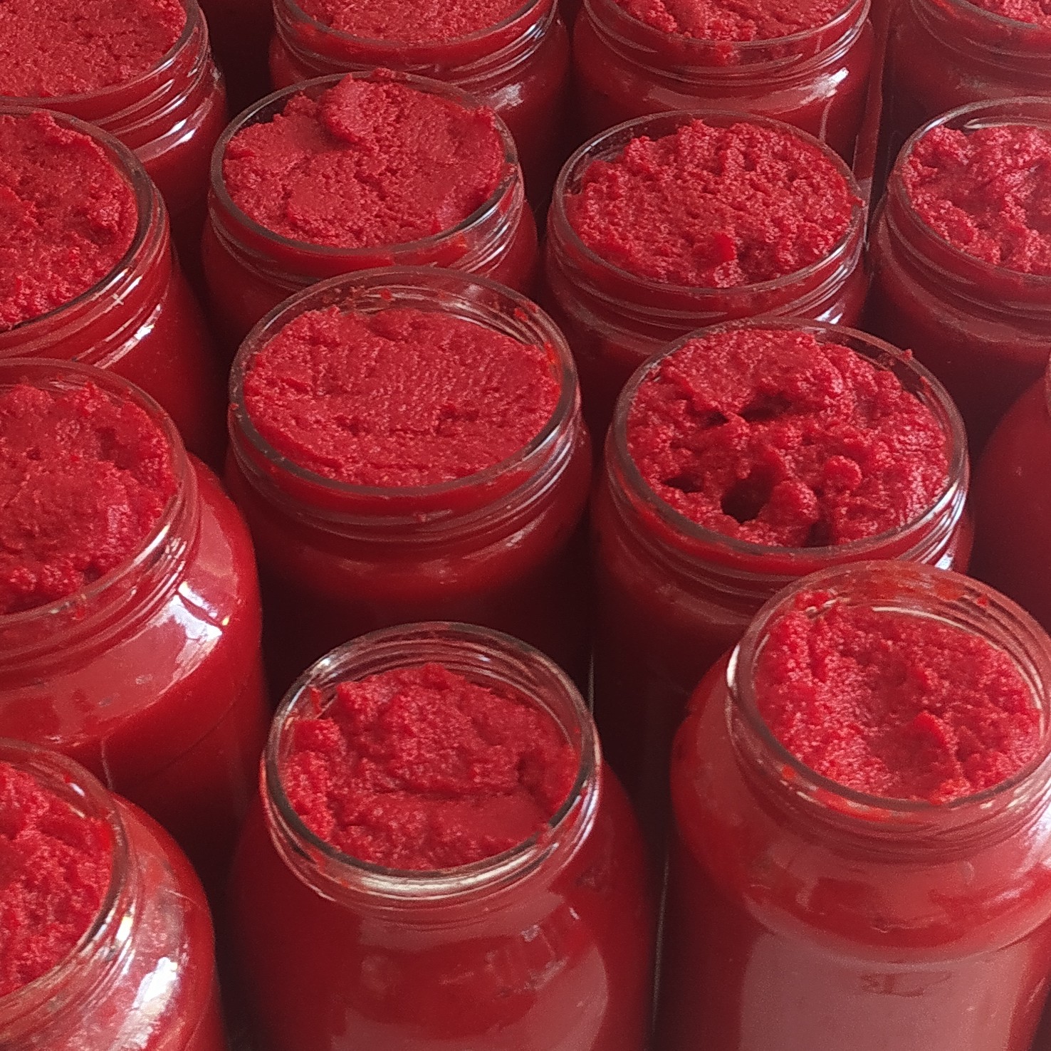 خرید کنسرو رب گوجه فرنگی ۸۰۰ گرمی + قیمت عمده و فروش مستقیم