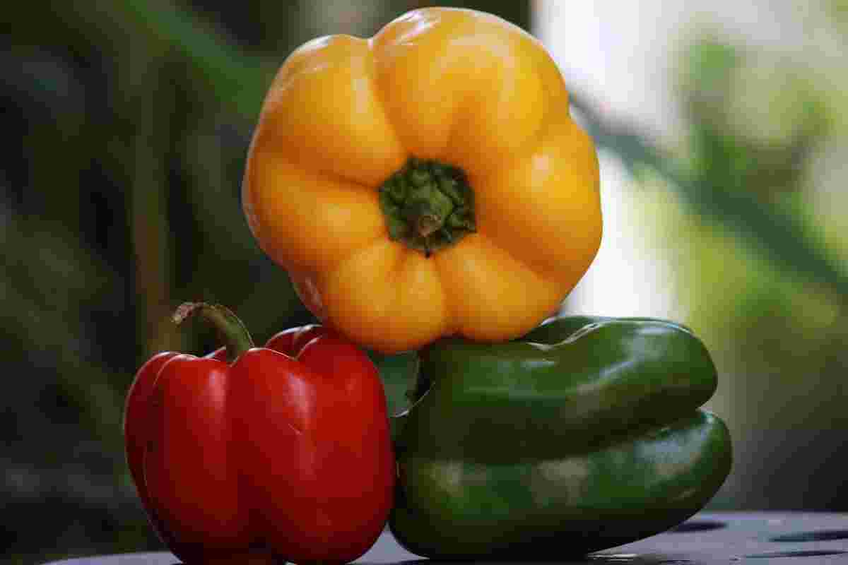 خرید فلفل دلمه‌ای تازه و ترد برای رستوران ها، کترینگ و صنایع غذایی 5