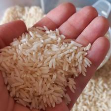 برنج طارم طلایی خوش عطر با کیفیت مناسب مصرف روزانه